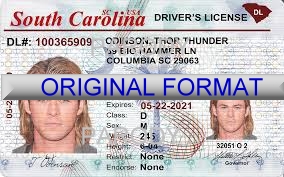 South Carolina Fake ID Template Small
