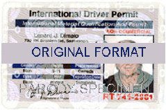 INTERNATIONAL DRIVER LICENSE ORIGINAL FORMAT, DESIGN SPECIFICATIONS, NOVELTY SECURITY CARD PROFILES, IDENTITY, NEW SOFTWARE ID SOFTWARE international driver