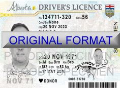 alberta DRIVER LICENSE ORIGINAL FORMAT, DESIGN SPECIFICATIONS, NOVELTY SECURITY CARD PROFILES, IDENTITY, NEW SOFTWARE ID SOFTWARE