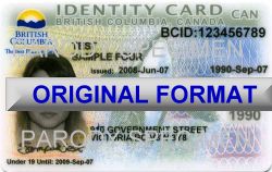 FAKE BCID CARDS FAKE ID BC CANADA FAKE BCID CARD