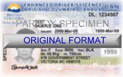 BC DRIVER LICENSE ORIGINAL FORMAT, DESIGN SPECIFICATIONS, NOVELTY SECURITY CARD PROFILES, IDENTITY, NEW SOFTWARE ID SOFTWARE