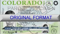 Colorado Driver License in original format novelty design card software identity new product souvenir new identity custom templates