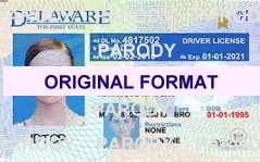 Delaware driver license original format design novelty identity software card design products for new identity creations