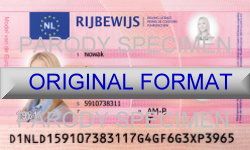 novelty id, novelty id card, driver license novelty DUTCH card, new identity software design custom