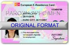EUROPEAN DRIVER LICENSE ORIGINAL FORMAT, DESIGN SPECIFICATIONS, NOVELTY SECURITY CARD PROFILES, IDENTITY, NEW SOFTWARE ID SOFTWARE