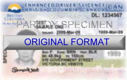 Fake Id British Columbia Scannable Fake British Columbia Identification