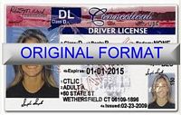 Connecticut Fake ID With Hologram