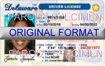 Delaware Fake ID Template Large