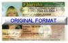 Florida Fake ID Template Small