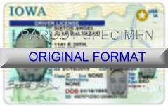Iowa Fake ID Template Large