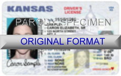 Kansas Fake ID Template Small