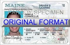 Maine Fake ID Template Large