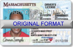 Massachusetts Fake ID Template Large
