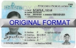 New Brunswick Fake ID