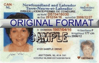 New Foundland & Labrador Fake ID