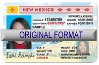 New Mexico Fake ID