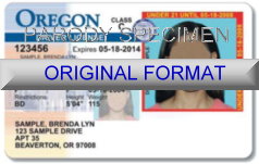 Oregon Fake ID