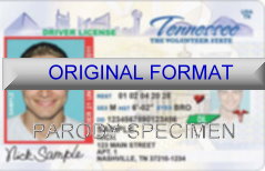 Tennessee Fake ID Template Small