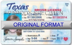 Texas Fake ID Template Large