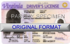 Virginia Fake ID