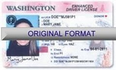 Washington Fake ID Template Large