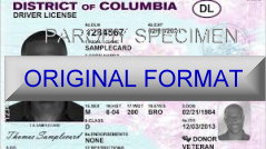 District Of Columbia Fake ID