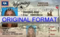 Wyoming Fake ID Template Small