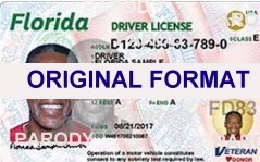 FLORIDA  DRIVER LICENSE FLORIDA FAKE ID CARD SCANNABLEFLORIDA FAKE ID