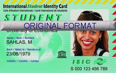 novelty id, novelty id card, driver license novelty INTERNATIONAL STUDENT FAKE ID CARDS id designer software custom university card