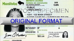 Manitoba DRIVER LICENSE ORIGINAL FORMAT, DESIGN SPECIFICATIONS, NOVELTY SECURITY CARD PROFILES, IDENTITY, NEW SOFTWARE ID SOFTWARE
