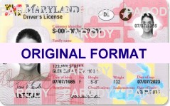 maryland fake id cards scannable with hologram