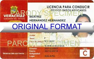 fake mexico driver license fake id mexico