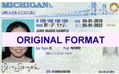 fake id michigan security features scannable with hologram
