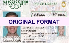 MISSISSIPPI FAKE IDS SCANNABLE FAKE MISSISSIPPI ID WITH HOLOGRAMS