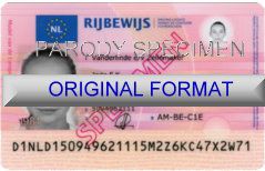 Florida Driver License Format ID Cards Designs Templates Novelty Software Card Hologram id Florida canada
