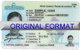 new brunswick driver license buy fake driver license new brunswick