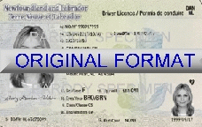 NEWFOUNDLAND DRIVER LICENSE ORIGINAL FORMAT, DESIGN SPECIFICATIONS, NOVELTY SECURITY CARD PROFILES, IDENTITY, NEW SOFTWARE ID SOFTWARE NEWFOUNDLAND driver