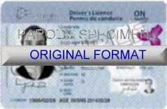 ONTARIO DRIVER LICENSE ORIGINAL FORMAT, DESIGN SPECIFICATIONS, NOVELTY SECURITY CARD PROFILES, IDENTITY, NEW SOFTWARE ID SOFTWARE ONTARIO driver