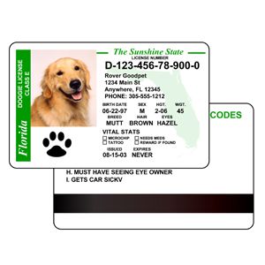novelty id, novelty id card, driver license novelty PET ID  card, new identity software design custom