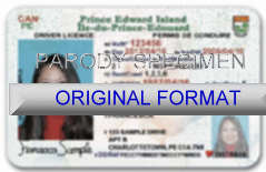 PRINCE EDWARD ISLAND DRIVER LICENSE ORIGINAL FORMAT, DESIGN SPECIFICATIONS, NOVELTY SECURITY CARD PROFILES, IDENTITY, NEW SOFTWARE ID SOFTWARE PRINCE EDWARD ISLAND driver