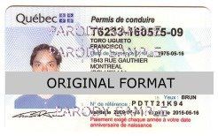 Quebec Fake Drivers License Fake Id Quebec