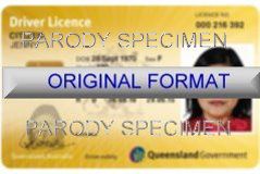 QUEENSLAND DRIVER LICENSE ORIGINAL FORMAT, DESIGN SPECIFICATIONS, NOVELTY SECURITY CARD PROFILES, IDENTITY, NEW SOFTWARE ID SOFTWARE QUEENSLAND driver