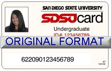 SAN DIEGO UNIVERSITY DRIVER LICENSE ORIGINAL FORMAT, DESIGN SPECIFICATIONS, NOVELTY SECURITY CARD PROFILES, IDENTITY, NEW SOFTWARE ID SOFTWARE