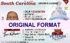SOUTH CAROLINA DRIVER LICENSE ORIGINAL FORMAT, DESIGN SPECIFICATIONS, NOVELTY SECURITY CARD PROFILES, IDENTITY, NEW SOFTWARE ID SOFTWARE