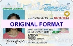 TENNESSEE FAKE IDS SCANNABLE FAKE TENNESSEE ID WITH HOLOGRAMS
