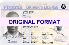VIRGINIA FAKE VIRGINIA SCANNABLE FAKE VIRGINIA DRIVING LICENSE WITH HOLOGRAMS