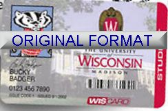 novelty id, novelty id card, driver license novelty WISCONSIN UNIVERSITY card, new identity software design custom