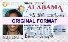 Arkansas Scannable Fake ID's