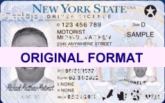 New York Fake ID's