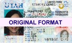 Utah Fake ID's Scannable With Holograms